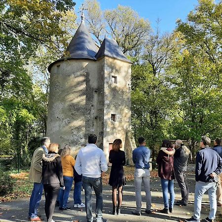 Chateau De Mornay Saint-Pierre-de-l'Isle Екстериор снимка